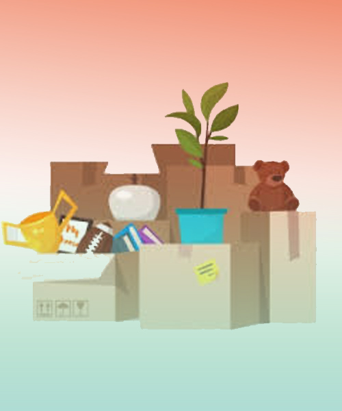 Home Furniture Packing & Moving Project